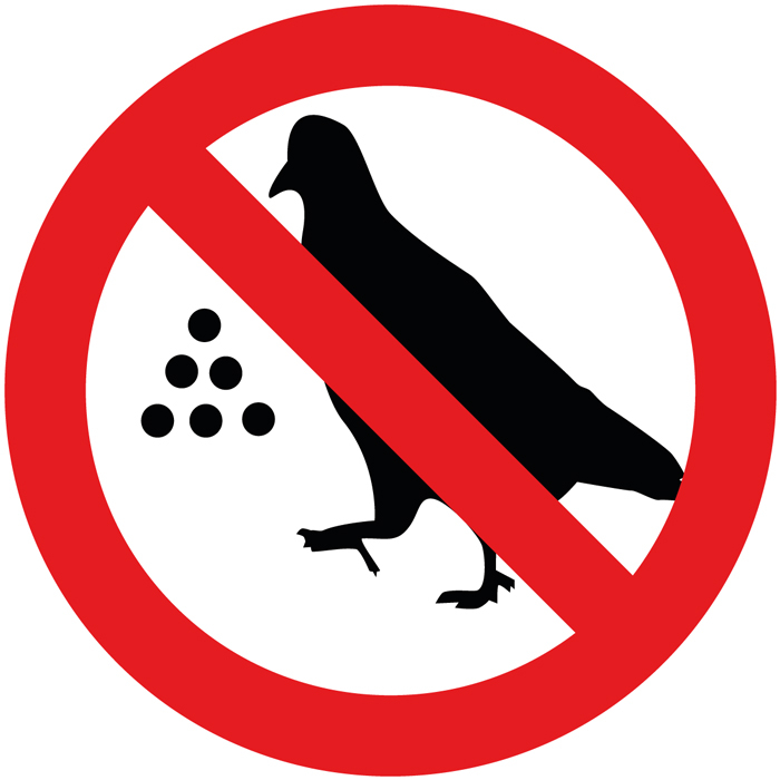 Attention, nourrir les oiseaux comporte certains risques !