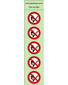 Autocollants photoluminescents Flammes nues interdites 5Ph