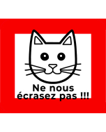 Affiche attention aux chats 