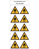 Substances comburantes – 10N