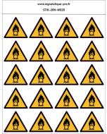 Substances comburantes – 20N