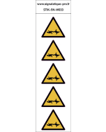 Panneau fil de fer barbelé-5N